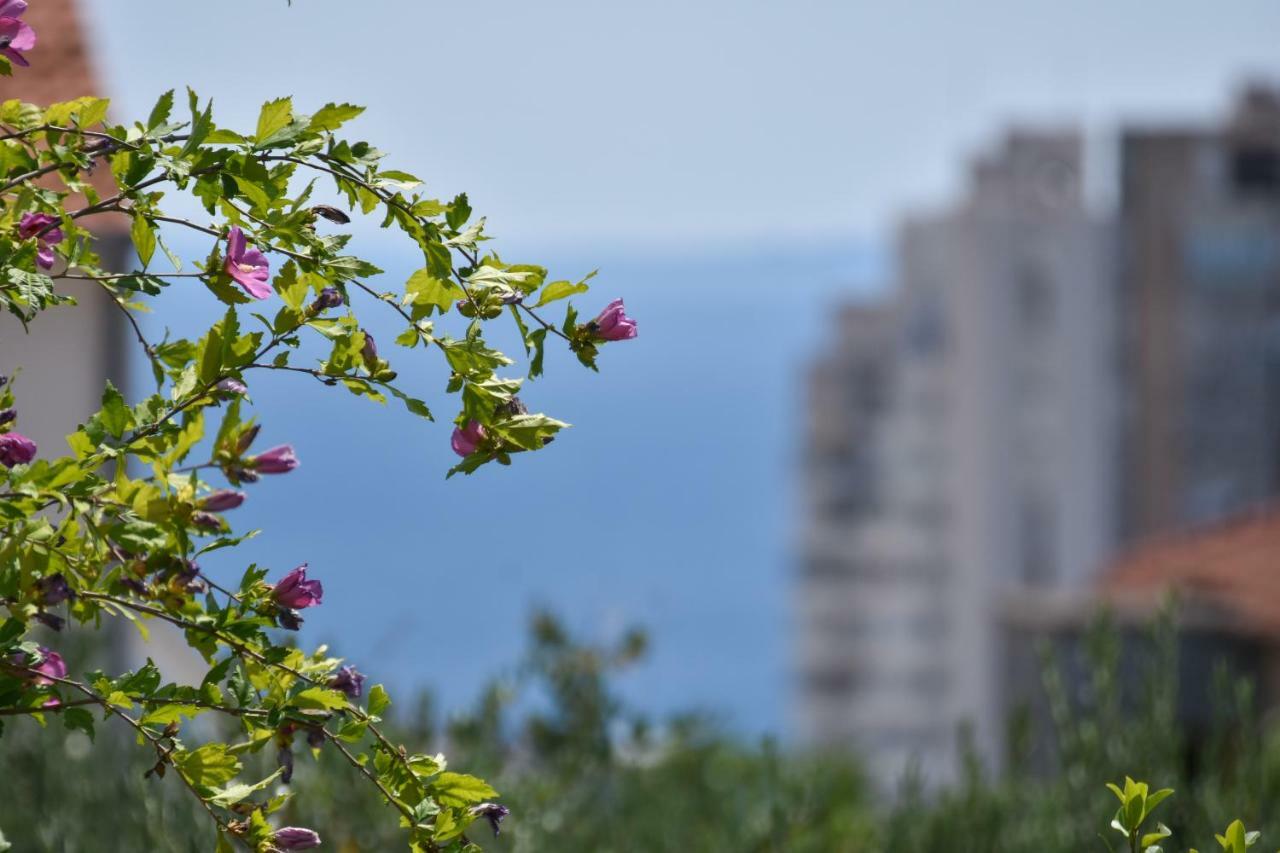 Apartment Neyra Split Exterior foto
